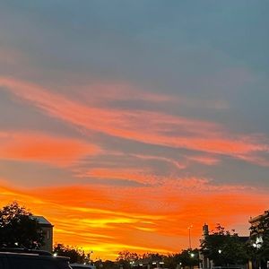 Meet your Posher, Mannon